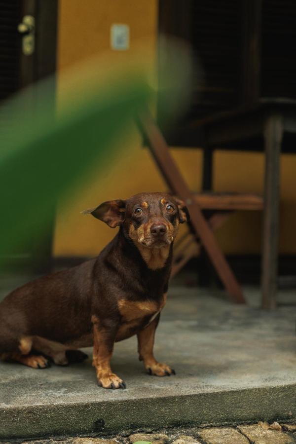 Pousada Pouso da Maré Velha Boipeba Esterno foto